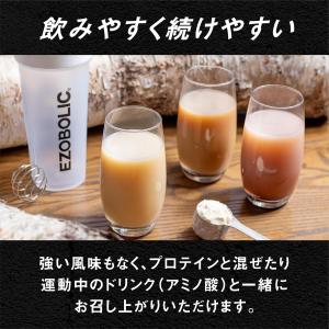 エゾボリック マルトデキストリン 人工甘味料 ...の詳細画像3