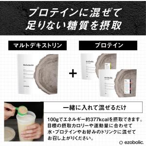 エゾボリック マルトデキストリン 人工甘味料 ...の詳細画像4