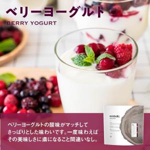エゾボリック ホエイ プロテイン 1kg ベリ...の詳細画像3