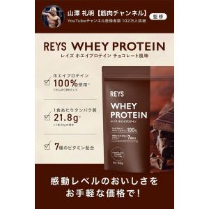 REYS レイズ 粉末 ホエイ プロテイン 山...の詳細画像1