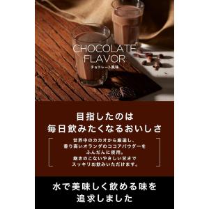 REYS レイズ 粉末 ホエイ プロテイン 山...の詳細画像2