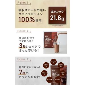 REYS レイズ 粉末 ホエイ プロテイン 山...の詳細画像3