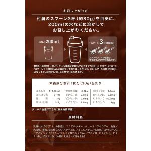 REYS レイズ 粉末 ホエイ プロテイン 山...の詳細画像5