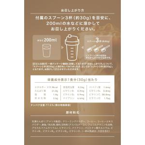 REYS レイズ ホエイ プロテイン 山澤 礼...の詳細画像5