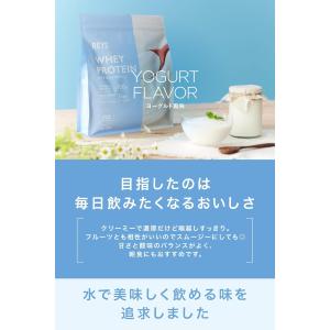 REYS レイズ ホエイ プロテイン 山澤 礼...の詳細画像2