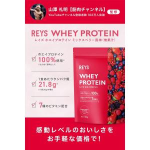 REYS レイズ ホエイ プロテイン 山澤 礼...の詳細画像1