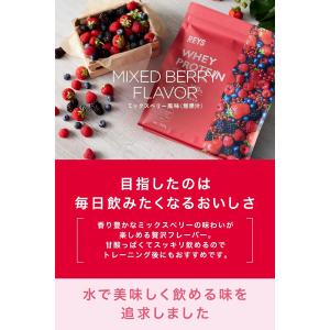 REYS レイズ ホエイ プロテイン 山澤 礼...の詳細画像2