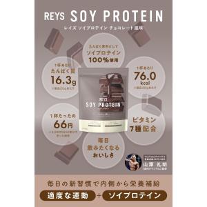 REYS レイズ ソイ プロテイン 山澤 礼明...の詳細画像1
