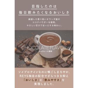 REYS レイズ ソイ プロテイン 山澤 礼明...の詳細画像2