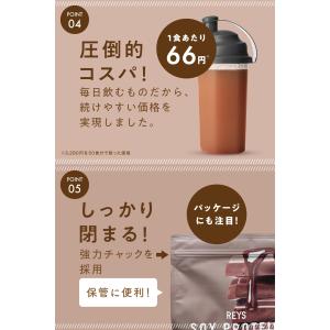 REYS レイズ ソイ プロテイン 山澤 礼明...の詳細画像4