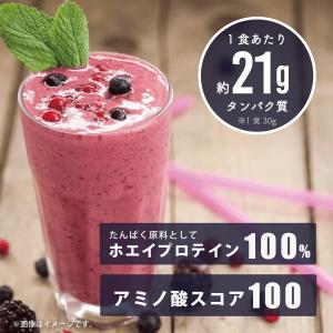 Verifyst ベリフィスト 3kg ホエイ...の詳細画像2
