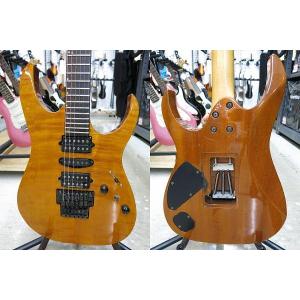 アイバニーズ Ibanez Electric ...の詳細画像1
