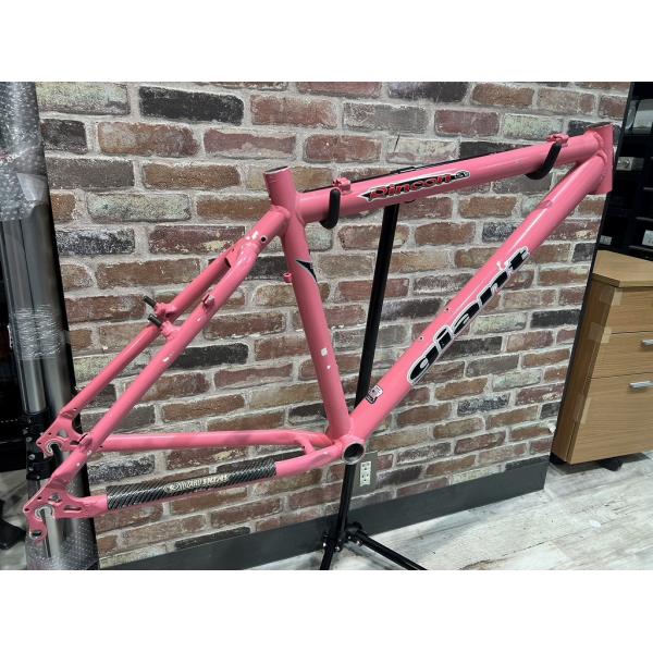 ジャイアント GIANT 【現状品】2000年モデル MTBフレーム RINCON SE