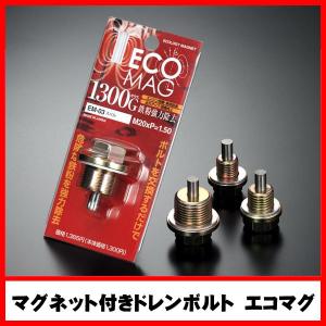 エコマグ　ドレンボルト