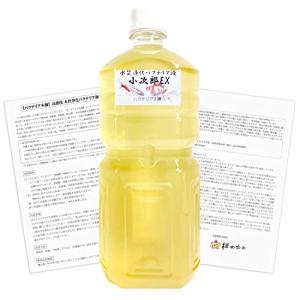 水質浄化バクテリア液 小次郎