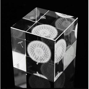 DeepGreenForest クリスタルガラス文鎮 ペーパーウエイト クリスタル 置物 3D ガラス オブジェ インテリア デスク プレゼント (た