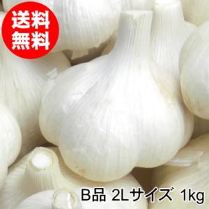 にんにく 青森 国産 Mサイズ 1kg B品 福地ホワイト六片 : みちのく処