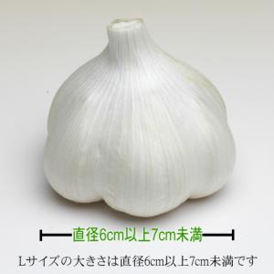 にんにく 青森 国産 Lサイズ 5kg B品 ...の詳細画像4