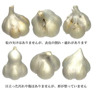 にんにく 青森 国産 Lサイズ 5kg B品 ...の詳細画像2