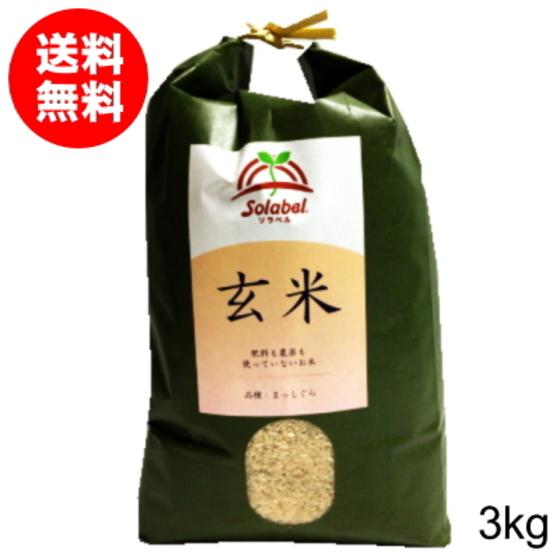 玄米 3kg 無農薬 特別栽培米 まっしぐら うるち米 青森