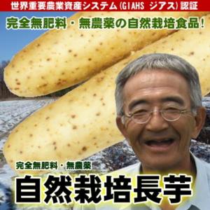 無農薬 長芋 国産 とろろ 400g