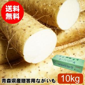 とろろ 長芋 3kg 青森 贈答 送料無料 : みちのく処わっつど - 通販
