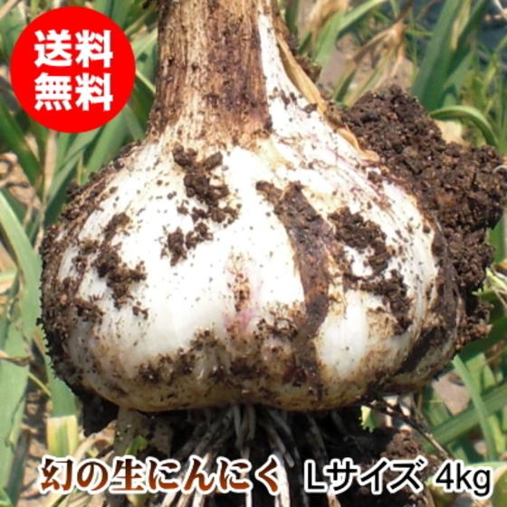 生にんにく 4kg Lサイズ 青森 国産 福地ホワイト六片 送料無料
