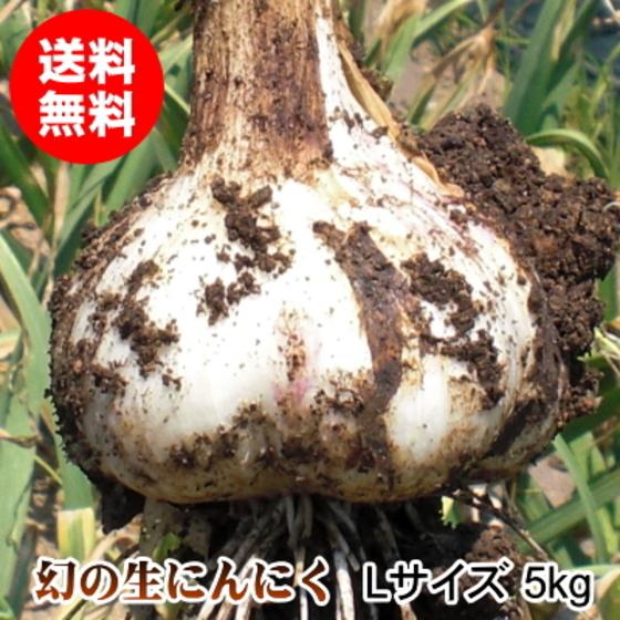生にんにく 5kg Lサイズ 青森 国産 福地ホワイト六片 送料無料