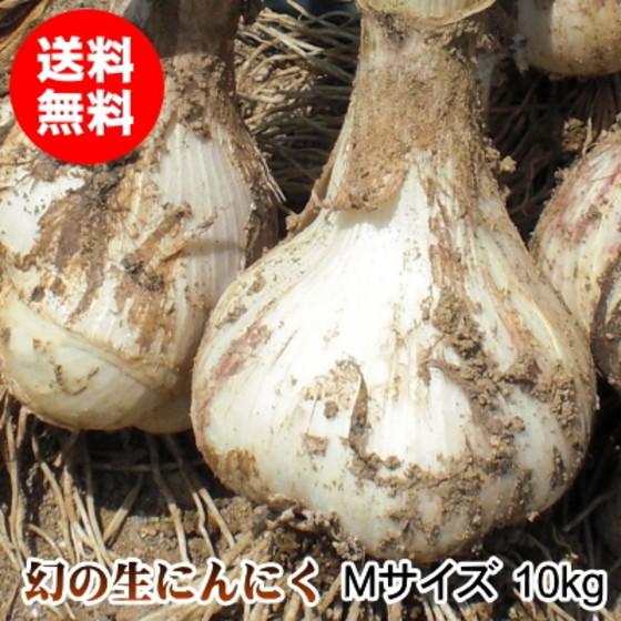 生にんにく 10kg Mサイズ 青森 国産 福地ホワイト六片 送料無料