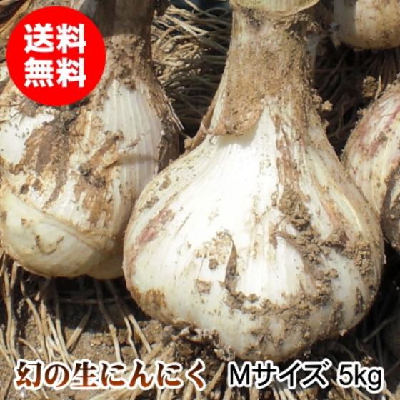 生にんにく 5kg Mサイズ 青森 国産 福地ホワイト六片 送料無料