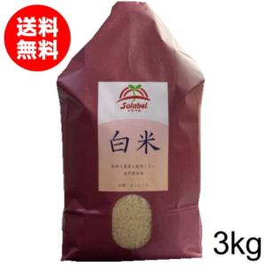 無農薬 米 特別栽培 白米 まっしぐら 3kg 令和3年 送料無｜wattudo