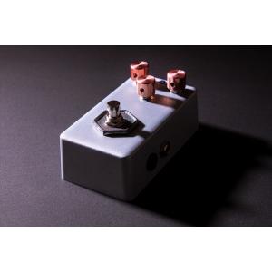 エレキギター&ソフトケース+α  Epiphone Epiphone エレキギター用 エピフォン ソフトケース ギターケース