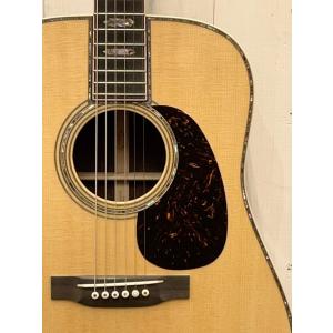 Martin CTM D-45 Wild Gr...の詳細画像2