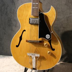 GrassRoots(グラスルーツ) エレキギター G-TE/M/BSC ソフトケース