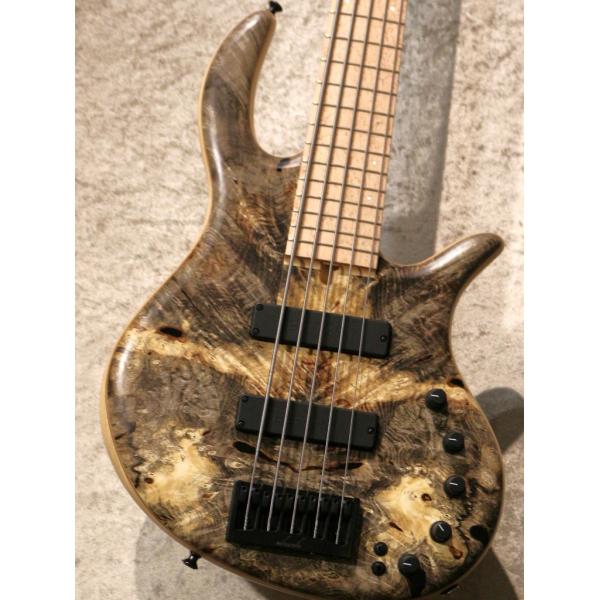 Elrick Gold Series e-volution 5 -Buckeye Burl-【3.4...