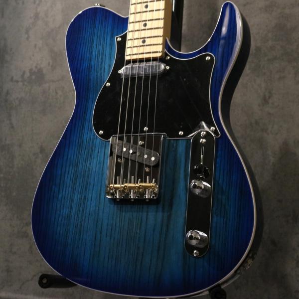FUJIGEN(FGN) 【重量級個体】JIL2-ASH-M -See through Blue B...