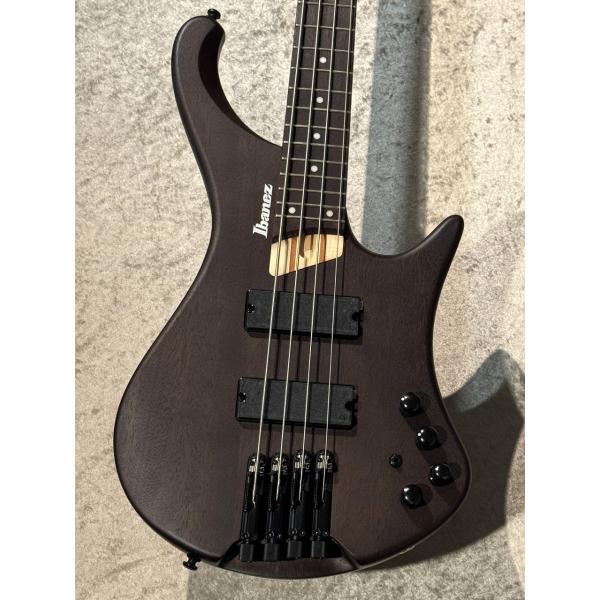 Ibanez 【人気なウォルナットカラー!】 EHB600 -Walnut Flat- #I2507...