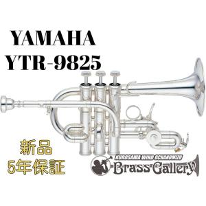 Yamaha YTR-9825【お取り寄せ】【新品】【ピッコロトランペット】【3本ピストン】【HighB♭/A管】【トランペット/コルネットシャンク】【ウインドお茶の水】｜wavehouse