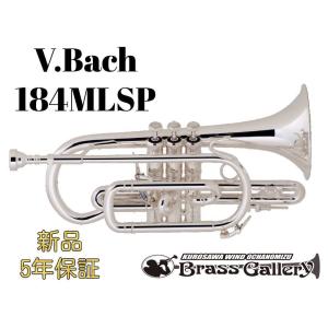 V.Bach 184MLSP【お取り寄せ】【新品】【コルネット】【バック】【ショート管】【イエローブ...