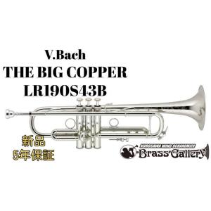 V.Bach C190L229 SP Cleveland Model / クリーヴランドモデル【お