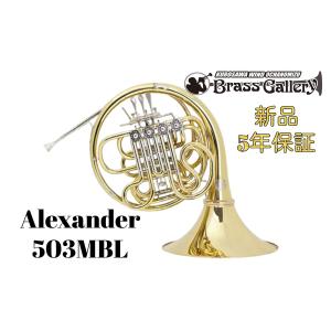 Alexander 503MBL【お取り寄せ】【新品】【フルダブル】【アレキサンダー】【*選定書無し個体】【イエローブラス】【ガイヤー】【ウインドお茶の水】
