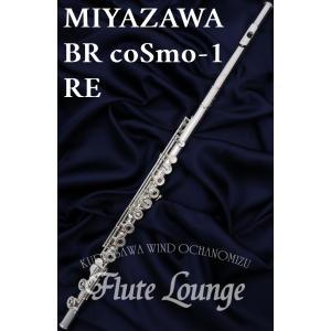 Fairyフルート・24K金メッキ・17キーH足部管 : ミュージックモール