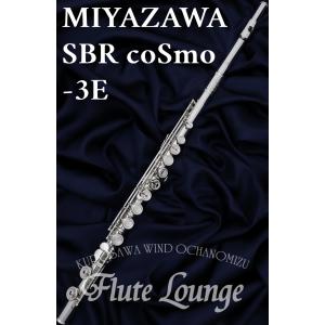 Miyazawa Flute 管体銀製　Eメカ付　＋　銀製Bチューブセット Miyazawa Flute 管体銀製 Eメカ付 ＋ 銀製Bチューブセット - メルカリ