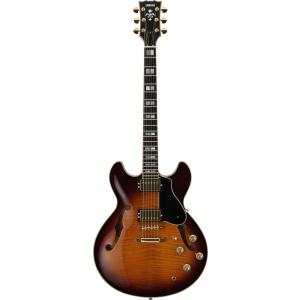 Epiphone（エピフォン） アコースティック用ハードケース 純正 940