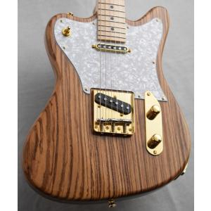 GrassRoots(グラスルーツ) エレキギター G-TE/M/BSC ソフトケース