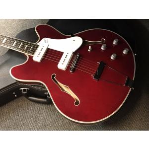 GrassRoots Artist Series G-SR-IGUANA [ 横山健 / Ken Yokoyama /Hi