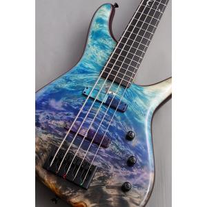 Sugi NB5E432 FullmoonMaple/H-MAHO2P/Sapphire【激杢】【G-CLUB 渋谷店】｜wavehouse