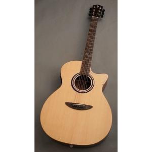 DCT 【小物セットプレゼント】GR-311CE【スプルース×マホガニー】【エレアコ】【20回払い無...