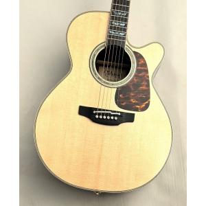 【夏の決算セール！】Takamine 【48回無金利】【限定2本!】500 CUSTOM Wild ...