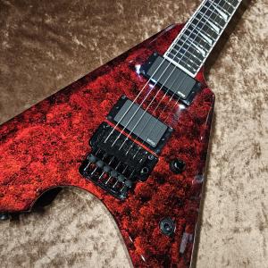 EDWARDS E-ARROW-FR CTM ...の詳細画像2